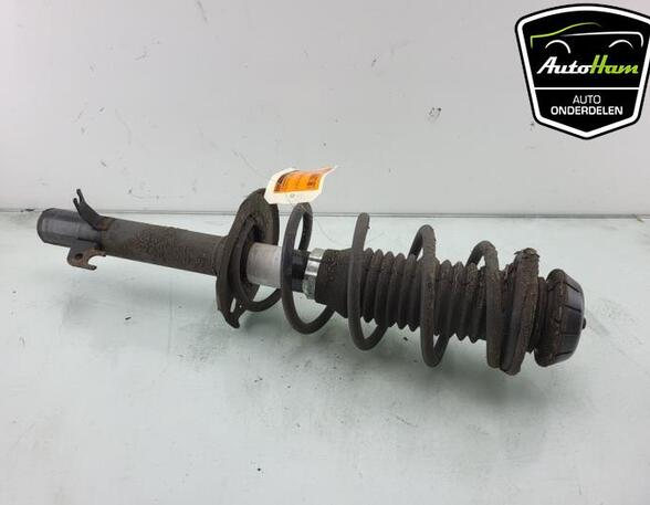 Shock Absorber TOYOTA AYGO (_B1_), CITROËN C1 (PM_, PN_), PEUGEOT 107 (PM_, PN_)