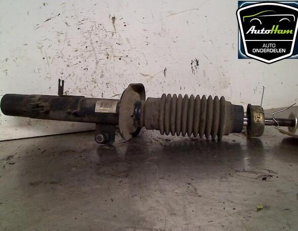 Shock Absorber CITROËN C2 (JM_), CITROËN C3 I (FC_, FN_), CITROËN C3 Pluriel (HB_)