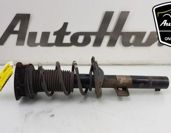 Shock Absorber SEAT IBIZA V (KJ1, KJG)