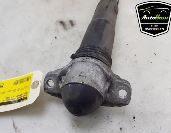 Shock Absorber SEAT TARRACO (KN2)