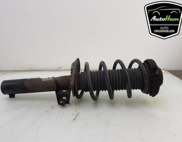 Shock Absorber SEAT ALTEA (5P1), SEAT ALTEA XL (5P5, 5P8), SEAT TOLEDO III (5P2), SEAT LEON (1P1)