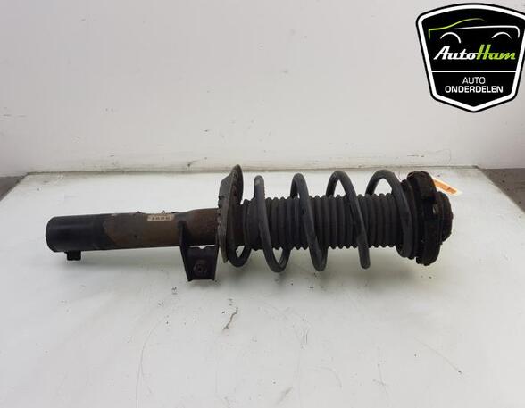 Shock Absorber SEAT ALTEA (5P1), SEAT ALTEA XL (5P5, 5P8), SEAT TOLEDO III (5P2), SEAT LEON (1P1)