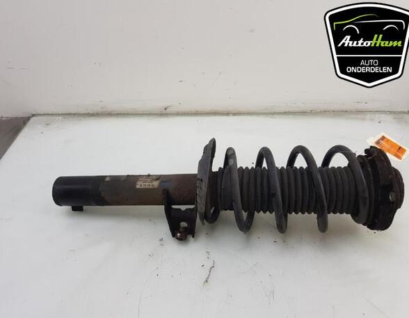 Shock Absorber SEAT ALTEA (5P1), SEAT ALTEA XL (5P5, 5P8), SEAT TOLEDO III (5P2), SEAT LEON (1P1)