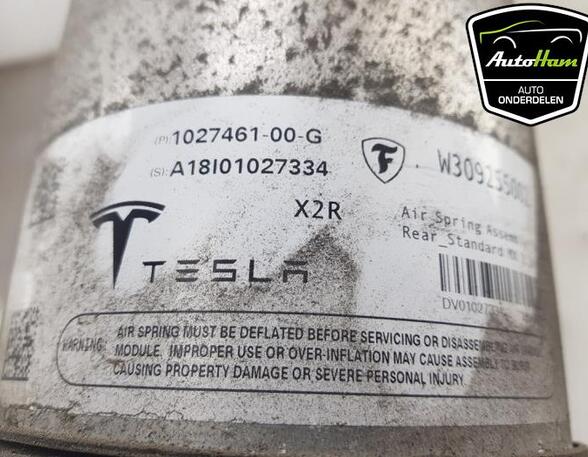 Schokdemper TESLA MODEL X (5YJX)