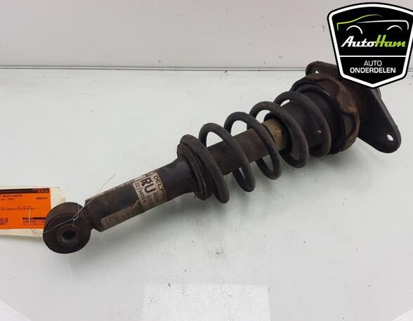 Shock Absorber MINI MINI (R50, R53), MINI MINI (R56)