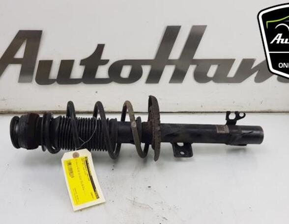 Shock Absorber SEAT Mii (KF1, KE1), SKODA CITIGO (NF1)