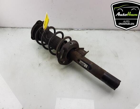 Shock Absorber VW GOLF V (1K1), VW GOLF PLUS (5M1, 521), VW GOLF VI (5K1), VW GOLF VI Van (5K1_)