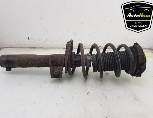 Shock Absorber VW GOLF PLUS (5M1, 521), VW SCIROCCO (137, 138), VW GOLF V (1K1), VW GOLF VI (5K1)