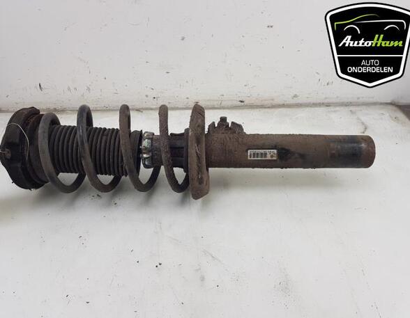 Shock Absorber VW GOLF PLUS (5M1, 521), VW SCIROCCO (137, 138), VW GOLF V (1K1), VW GOLF VI (5K1)