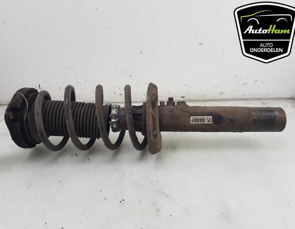 Shock Absorber VW GOLF PLUS (5M1, 521), VW SCIROCCO (137, 138), VW GOLF V (1K1), VW GOLF VI (5K1)