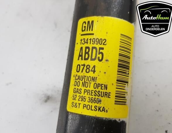 Shock Absorber OPEL ZAFIRA TOURER C (P12), OPEL ASTRA J Sports Tourer (P10)