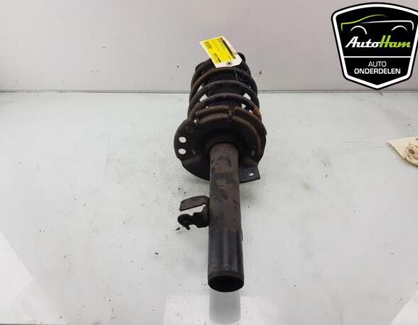 Shock Absorber FORD TRANSIT CONNECT V408 Box Body/MPV