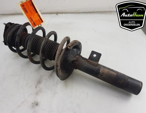 Shock Absorber FORD TRANSIT CONNECT (P65_, P70_, P80_), FORD TRANSIT CUSTOM V362 Van (FY, FZ)