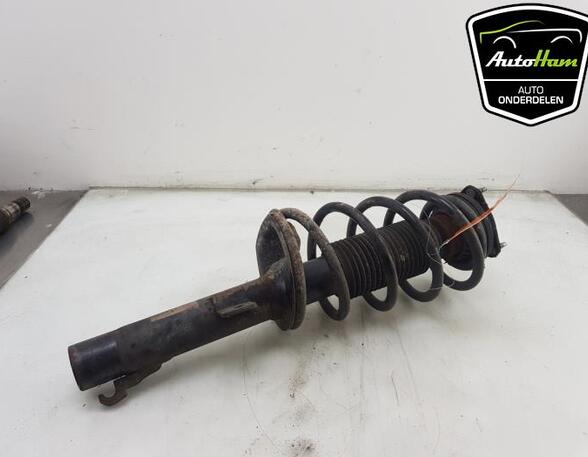 Shock Absorber FORD TRANSIT CONNECT (P65_, P70_, P80_), FORD TRANSIT CUSTOM V362 Van (FY, FZ)