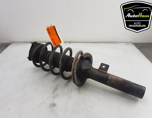 Shock Absorber FORD TRANSIT CONNECT (P65_, P70_, P80_), FORD TRANSIT CUSTOM V362 Van (FY, FZ)