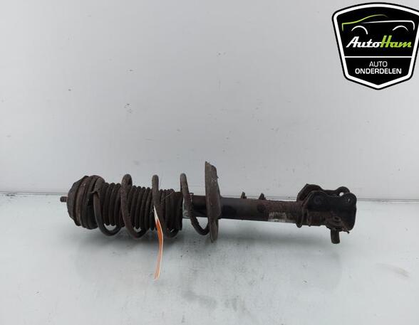 Shock Absorber FIAT PANDA (312_, 319_), FIAT PANDA VAN (312_, 519_)