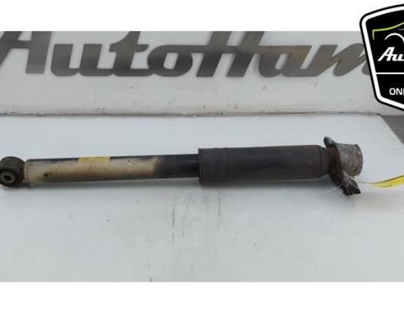 Shock Absorber OPEL ZAFIRA TOURER C (P12), OPEL ASTRA J Sports Tourer (P10)