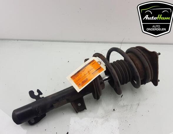 Shock Absorber MINI MINI (R50, R53), MINI MINI (R56)