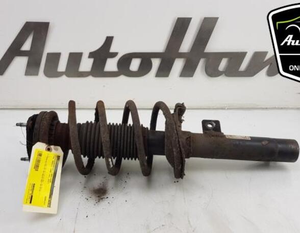 Shock Absorber FORD TRANSIT CUSTOM V362 Van (FY, FZ), FORD TRANSIT CONNECT (P65_, P70_, P80_)