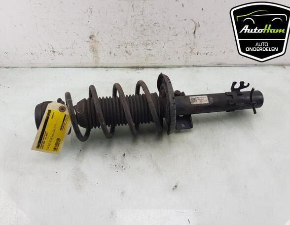 Shock Absorber SKODA FABIA III Estate (NJ5), SKODA RAPID (NH3, NK3, NK6), SKODA RAPID Spaceback (NH1)