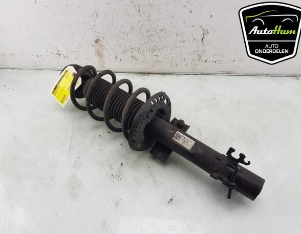 Shock Absorber SKODA FABIA III Estate (NJ5), SKODA RAPID (NH3, NK3, NK6), SKODA RAPID Spaceback (NH1)