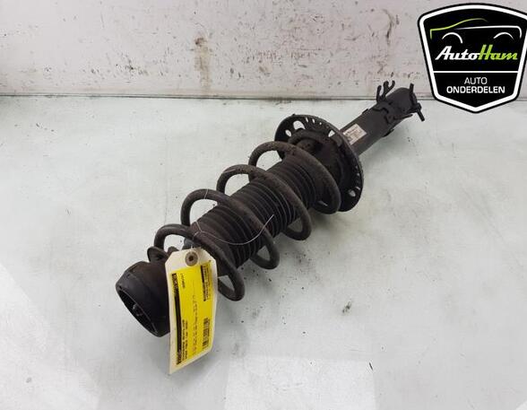 Shock Absorber SKODA FABIA III Estate (NJ5), SKODA RAPID (NH3, NK3, NK6), SKODA RAPID Spaceback (NH1)