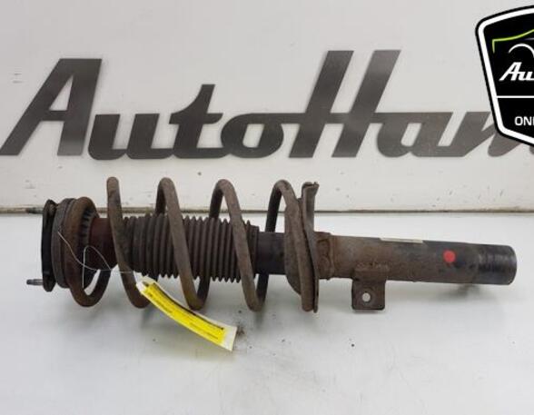 Shock Absorber FORD TRANSIT CONNECT (P65_, P70_, P80_), FORD TRANSIT CUSTOM V362 Van (FY, FZ)