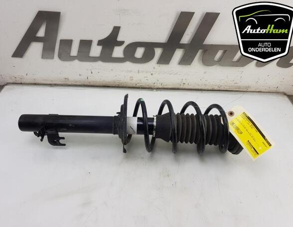 Shock Absorber TOYOTA AYGO (_B4_), CITROËN C1 II (PA_, PS_), PEUGEOT 108