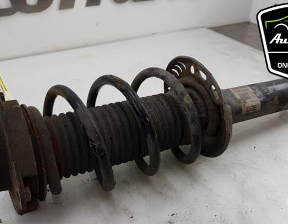 Shock Absorber AUDI TT Roadster (8J9)