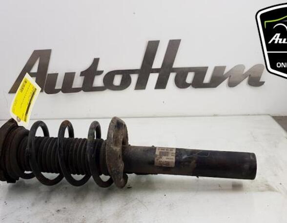 Shock Absorber AUDI TT Roadster (8J9)