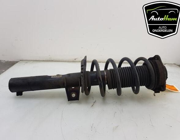 Shock Absorber SEAT ALTEA (5P1), SEAT ALTEA XL (5P5, 5P8), SEAT TOLEDO III (5P2), SEAT LEON (1P1)