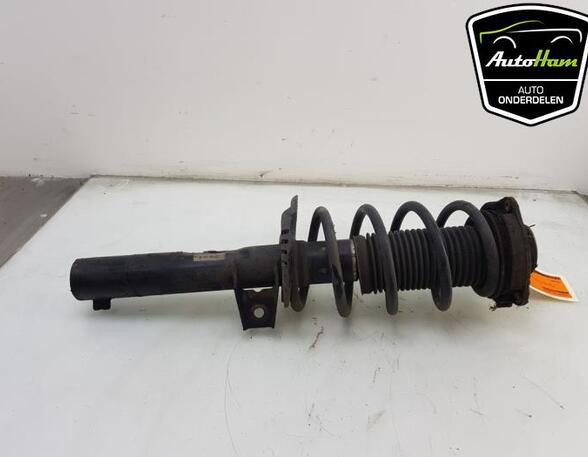 Shock Absorber SEAT ALTEA (5P1), SEAT ALTEA XL (5P5, 5P8), SEAT TOLEDO III (5P2), SEAT LEON (1P1)