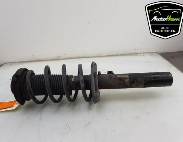 Shock Absorber SEAT ALTEA (5P1), SEAT ALTEA XL (5P5, 5P8), SEAT TOLEDO III (5P2), SEAT LEON (1P1)