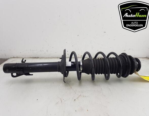 Shock Absorber TOYOTA AYGO (_B4_), PEUGEOT 108, CITROËN C1 II (PA_, PS_)