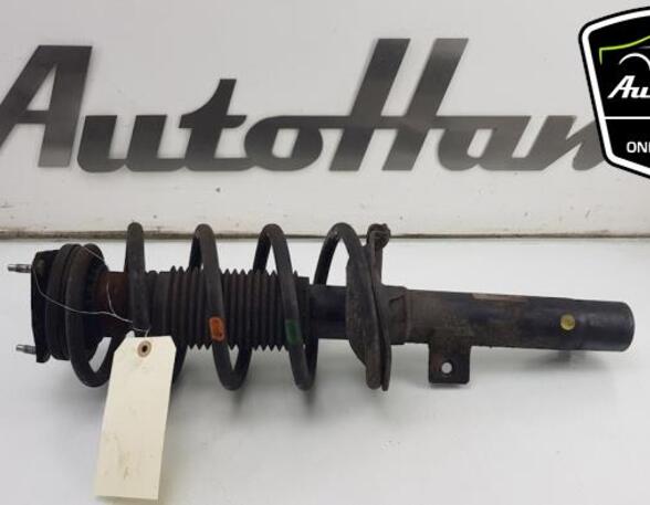 Shock Absorber FORD TRANSIT CUSTOM V362 Van (FY, FZ), FORD TRANSIT CONNECT (P65_, P70_, P80_)