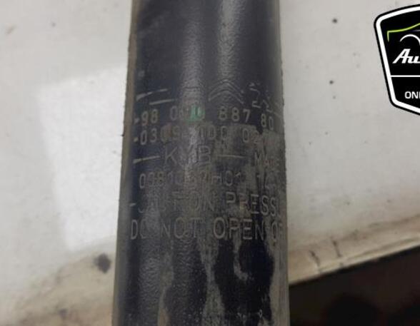 Shock Absorber PEUGEOT 308 SW II (LC_, LJ_, LR_, LX_, L4_)