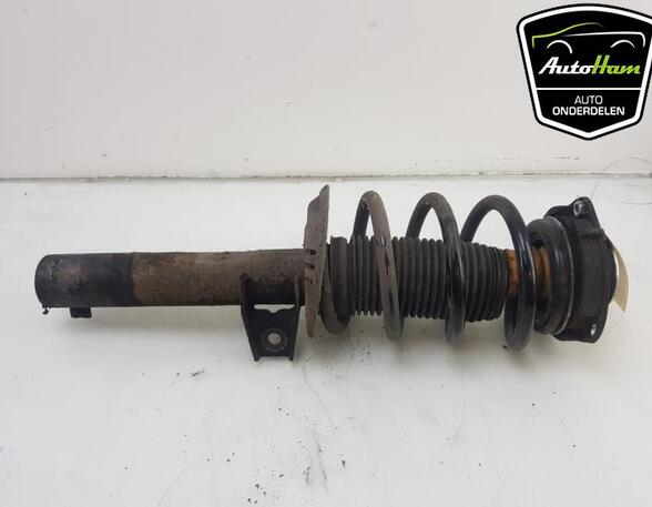 Shock Absorber AUDI TT (8J3)