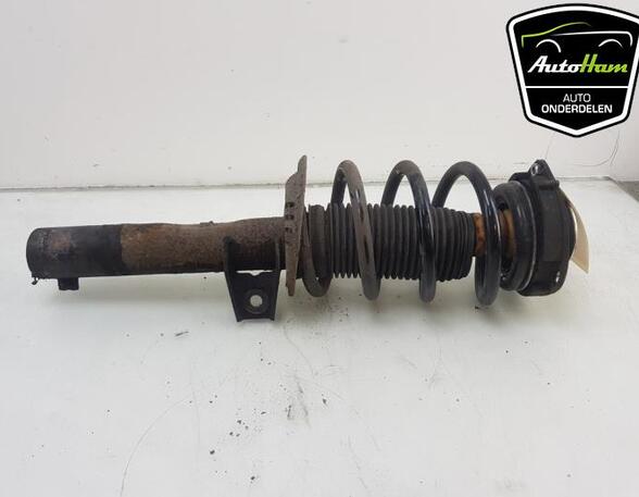 Shock Absorber AUDI TT (8J3)