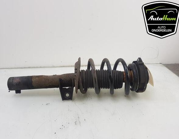 Shock Absorber AUDI TT (8J3)