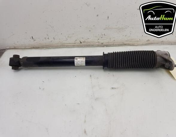 Shock Absorber TESLA MODEL 3 (5YJ3)