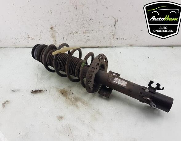 Shock Absorber AUDI A1 (8X1, 8XK), AUDI A1 Sportback (8XA, 8XF)