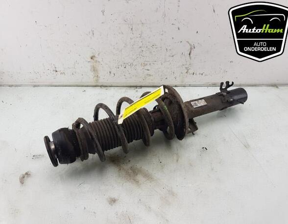 Shock Absorber AUDI A1 (8X1, 8XK), AUDI A1 Sportback (8XA, 8XF)