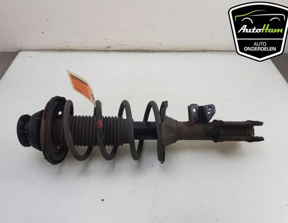 Shock Absorber HYUNDAI i10 (PA)