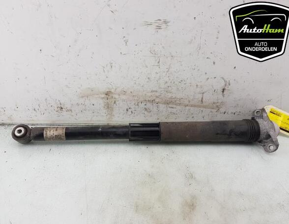 Shock Absorber SKODA KAMIQ (NW4)