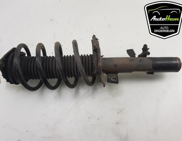 Shock Absorber FORD FOCUS III Turnier, FORD C-MAX II (DXA/CB7, DXA/CEU), FORD FOCUS III