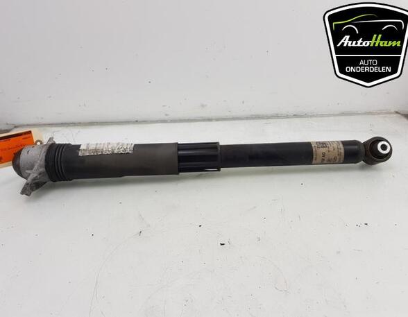 Shock Absorber VW GOLF VIII (CD1)