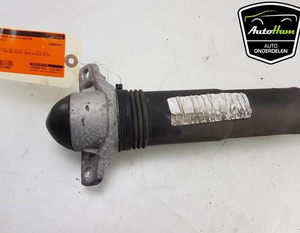 Shock Absorber VW GOLF VIII (CD1)