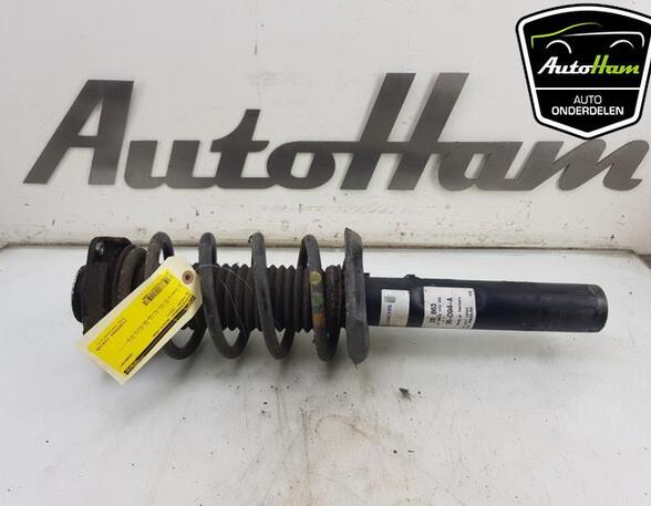 Shock Absorber VW PASSAT Variant (3C5), VW GOLF VI (5K1), VW GOLF VI Van (5K1_), VW PASSAT (3C2)