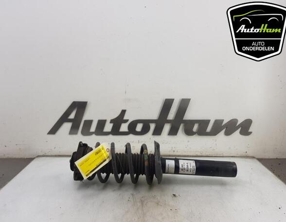 Shock Absorber VW PASSAT Variant (3C5), VW GOLF VI (5K1), VW GOLF VI Van (5K1_), VW PASSAT (3C2)