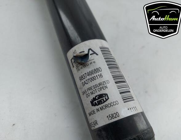 Shock Absorber OPEL CORSA F (P2JO), PEUGEOT 208 II (UB_, UP_, UW_, UJ_)